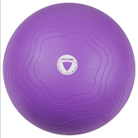 Гимнастический мяч Live Pro Anti-Burst Core Ball LP8201-55 55см