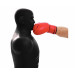 Манекен DFC Boxing Punching Man-Medium TLS-BHB черный 75_75