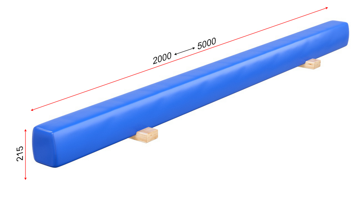 Бревно гимнастическое напольное мягкое L=2,5 м Glav 04.10.09-2,5 1200_675